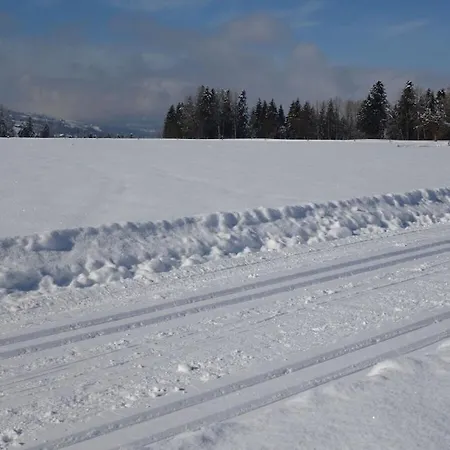 Hangspitze Comfortable Prázdninový dům *