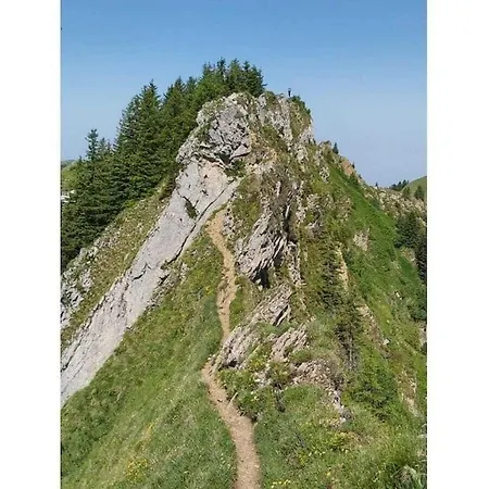 Hangspitze Comfortable Grossdorf (Vorarlberg)