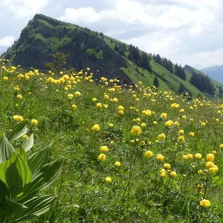Hangspitze Comfortable Grossdorf (Vorarlberg)